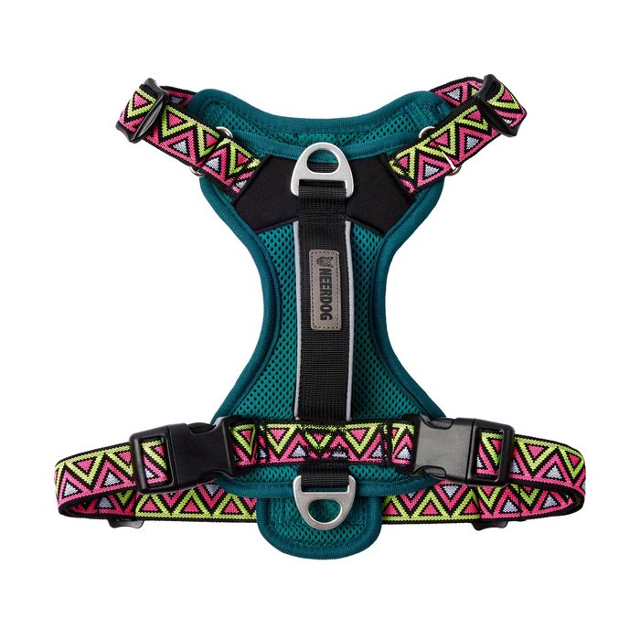 Go-B-Bold Lantana Harness