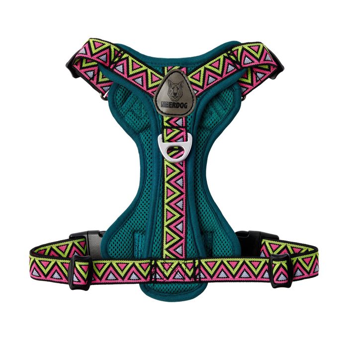 Go-B-Bold Lantana Harness