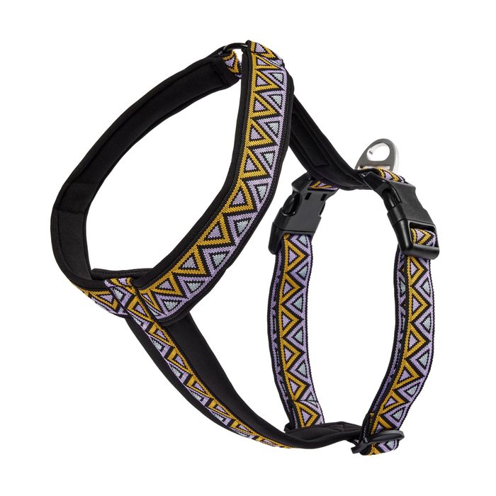 Go-Cee-Y Erysimum Harness