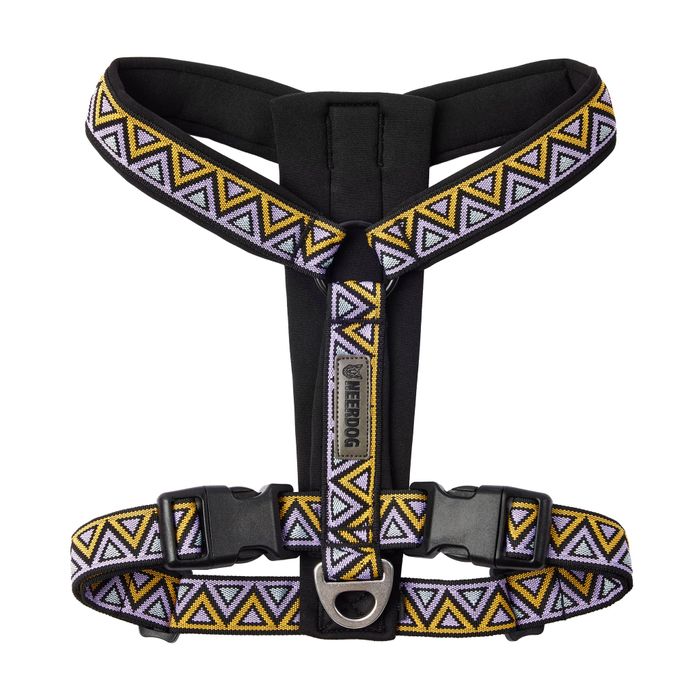 Go-Cee-Y Erysimum Harness