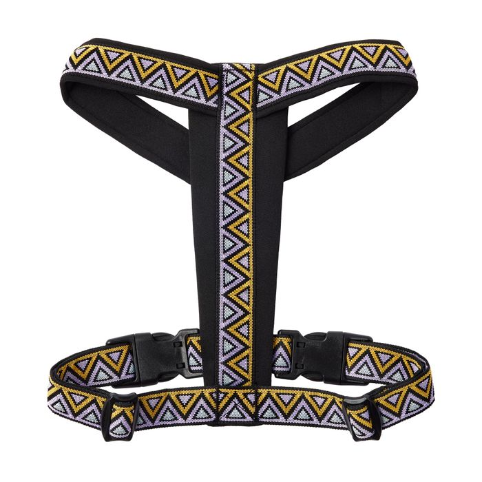 Go-Cee-Y Erysimum Harness