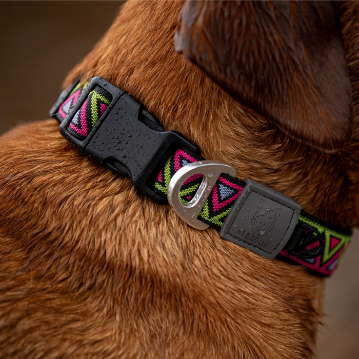 Go-Cee Lantana Collar