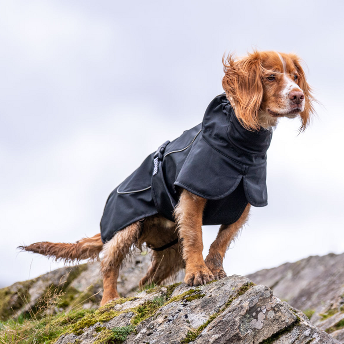 Rain Defender Dog Coat