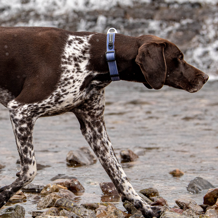 Stink Proofed Blue Collar