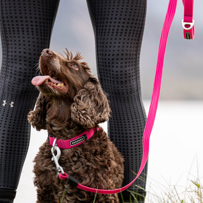 Stink Proofed Pink Lead