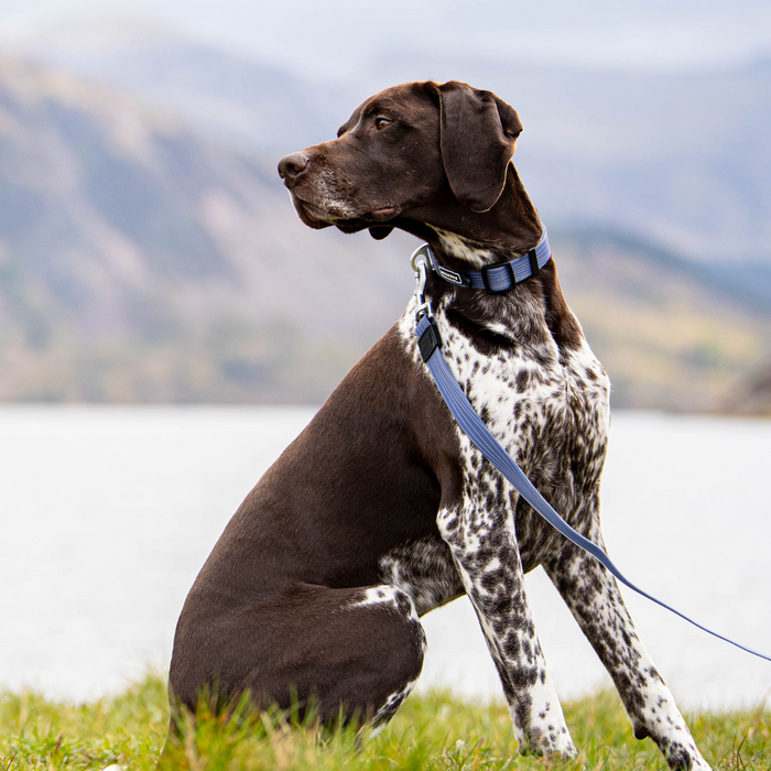 Stink Proofed Blue Lead