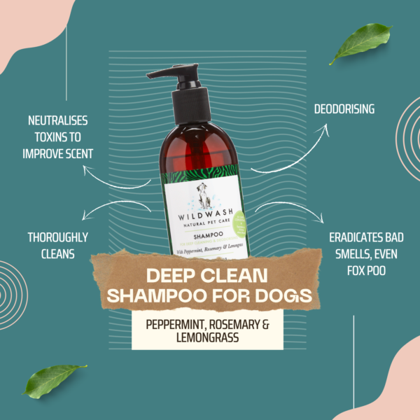 Deep Clean Shampoo for Dogs 300ml
