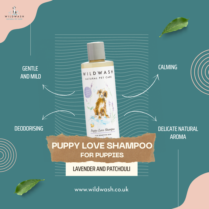 Puppy Love Shampoo for Puppies 250ml
