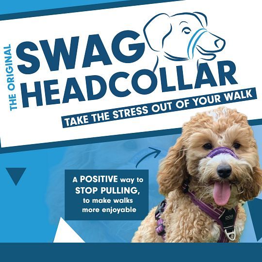 SWAGK9 Headcollar