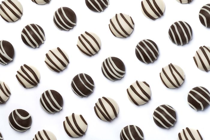 Ruffingtons Terrier Truffles