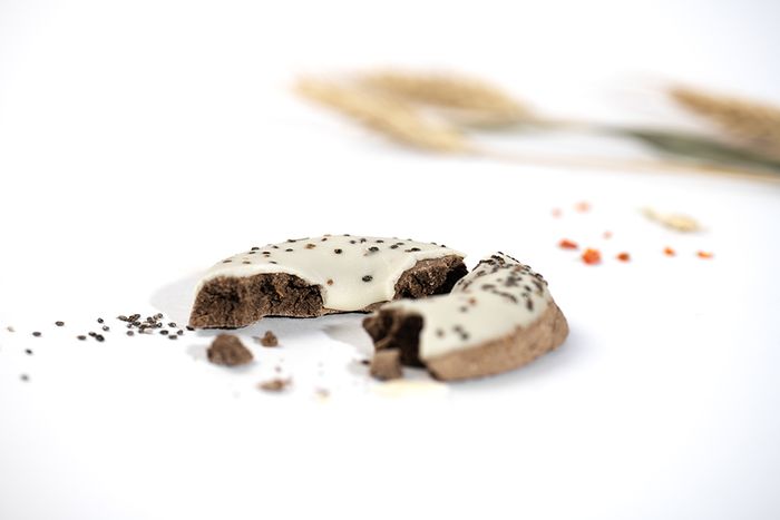 Ruffingtons Dog Doughnuts