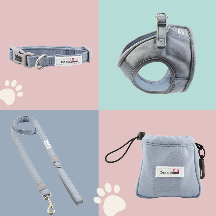 Dinky Dog Collection