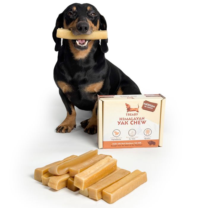  TREABY Himalayan Yak Chew - Boxes of 10 chews