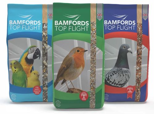 Wild Bird Feed, Cage & Aviary Feed & Pigeon Racing Mixes 
