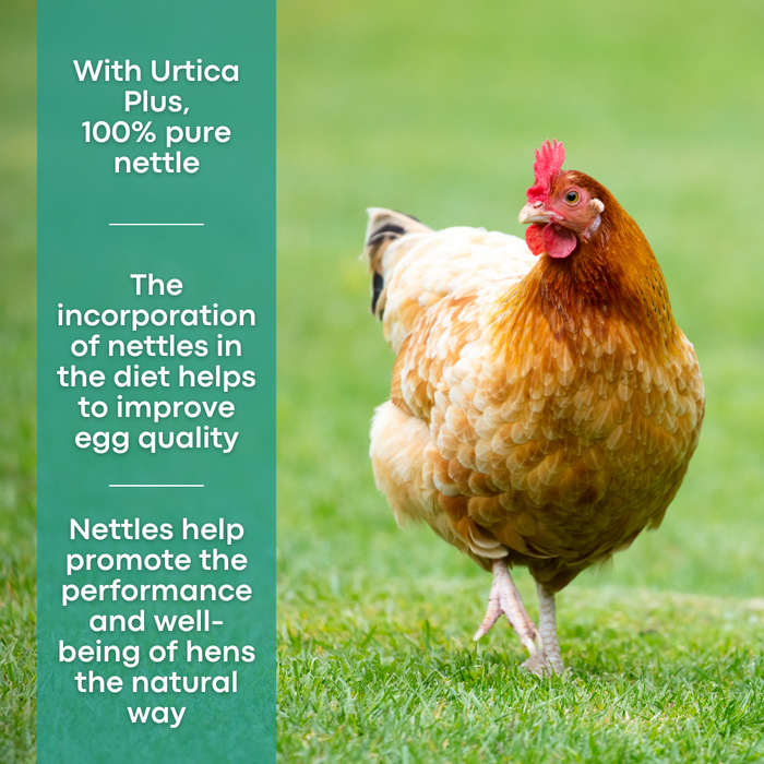 Range Layers Pellets With Urtica Plus