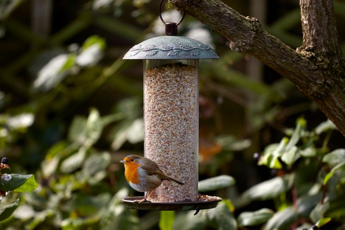Peckish Complete Wild Bird Seed Mix 12.75kg
