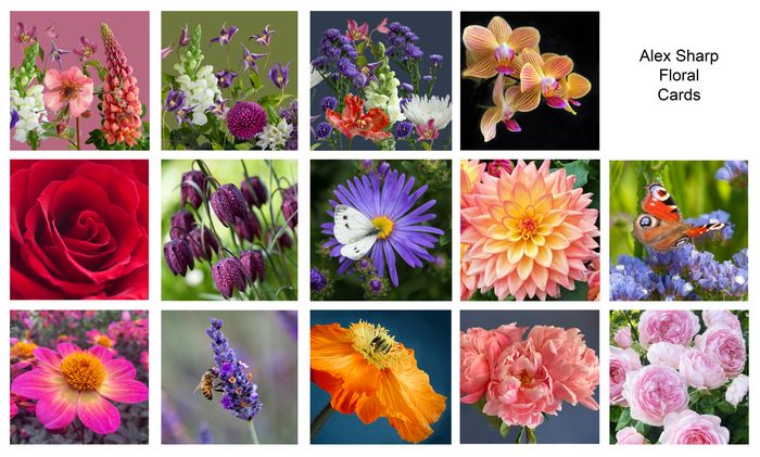 Floral cards