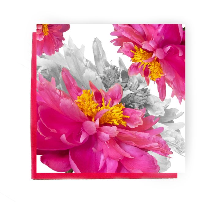 Floral cards