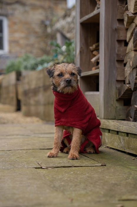 Classic Dog Drying Coat