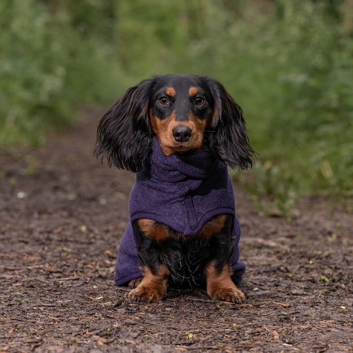 Classic Dog Drying Coat