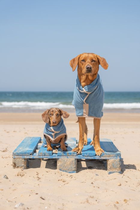 Classic Dog Drying Coat