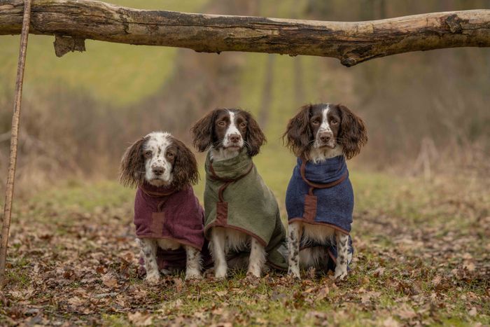 Country Dog Drying Coat