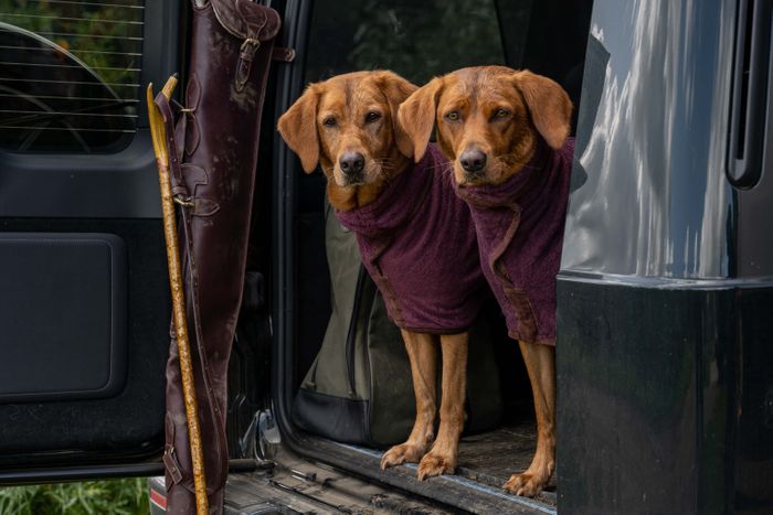 Country Dog Drying Coat