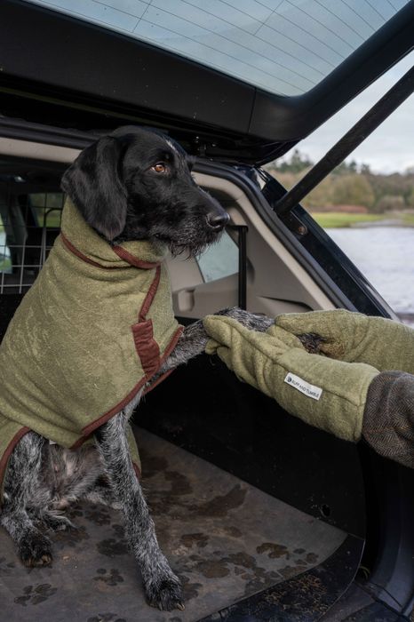 Dog Drying Mitts