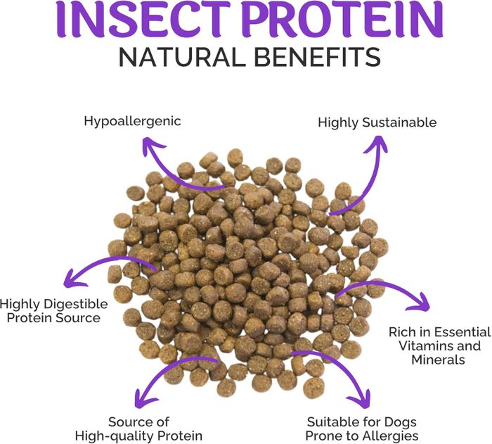 Paw-Cura Adult Medium/Large Breed Insect Protein Biscuits Hypoallergenic Dry Dog Food 2kg
