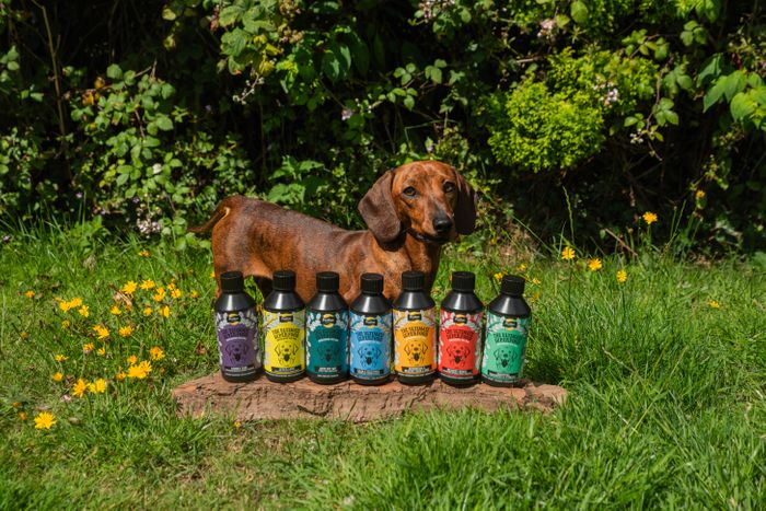 Proflax Flaxseed Oil & Herbal Tincture Blends