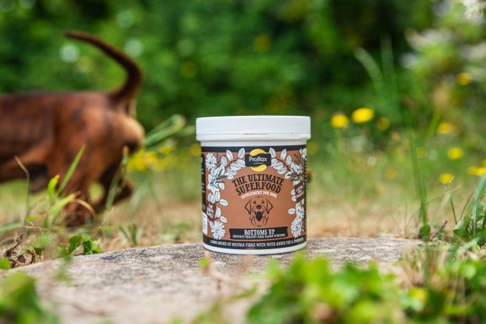 Proflax Herbal Supplement Powders for Dogs