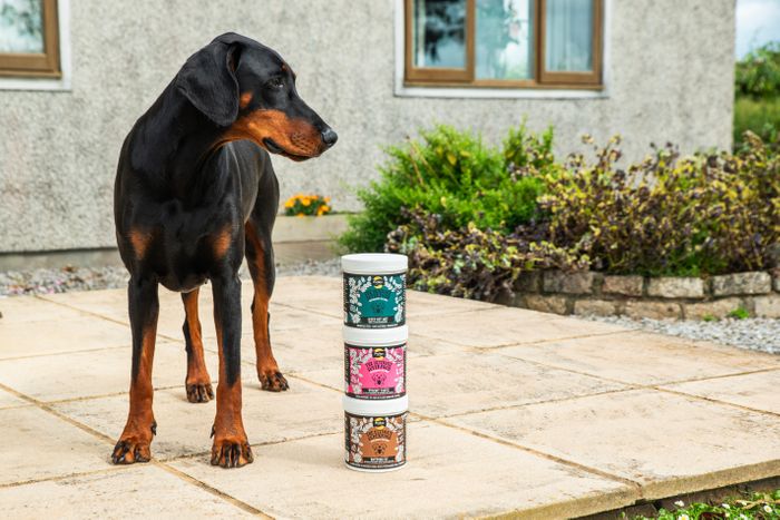 Proflax Herbal Supplement Powders for Dogs