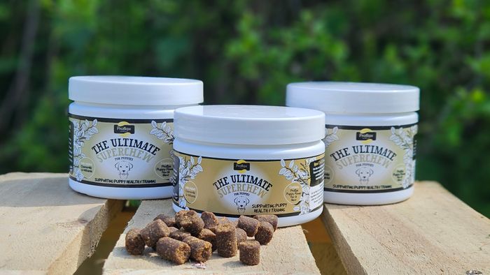 Proflax Superchew Soft Treats for Dogs