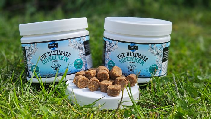 Proflax Superchew Soft Treats for Dogs