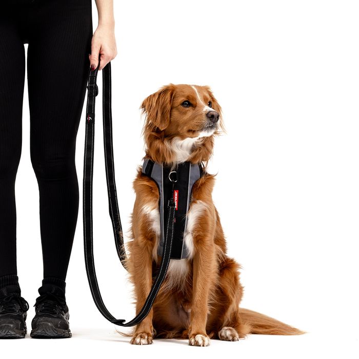Vario 6 Multi-Function Leash