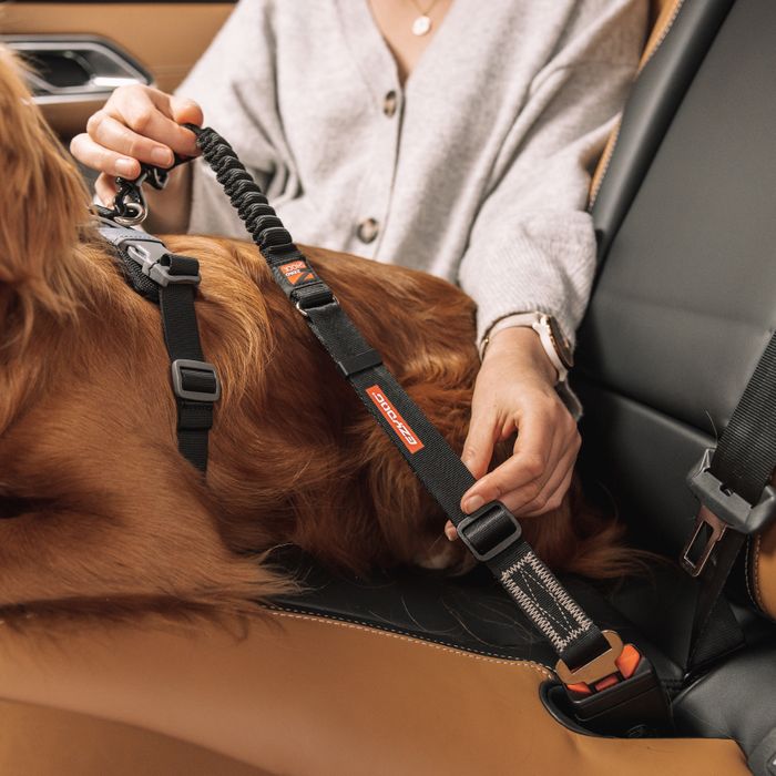 Click Zero Shock Dog Seat Belt