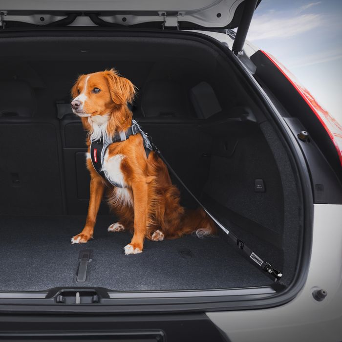 Click ISOFIX Dog Seat Belt
