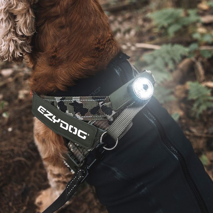 Go-2 Dog Lights