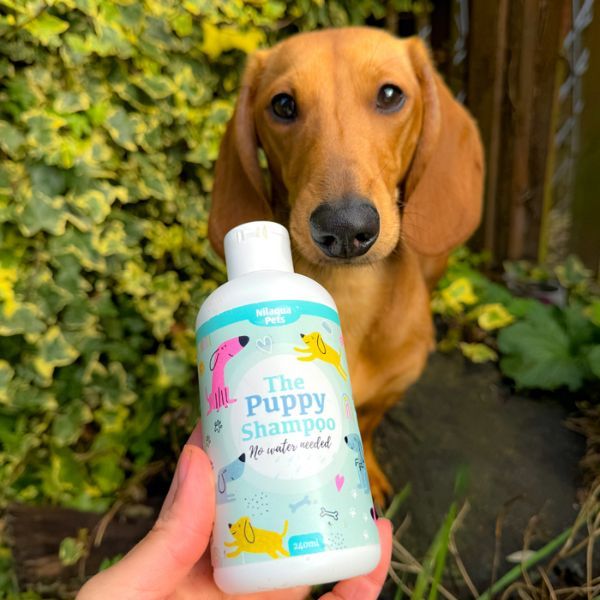 Nilaqua Pets - The Puppy Shampoo