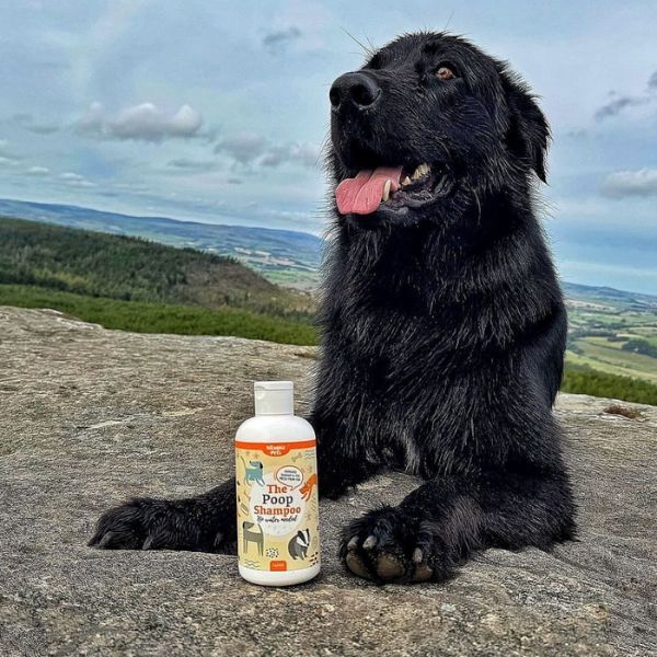 Nilaqua Pets - The Poop Shampoo