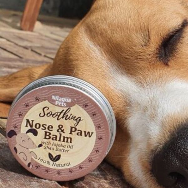 Nilaqua Pets - Organic Soothing Nose & Paw Balm 