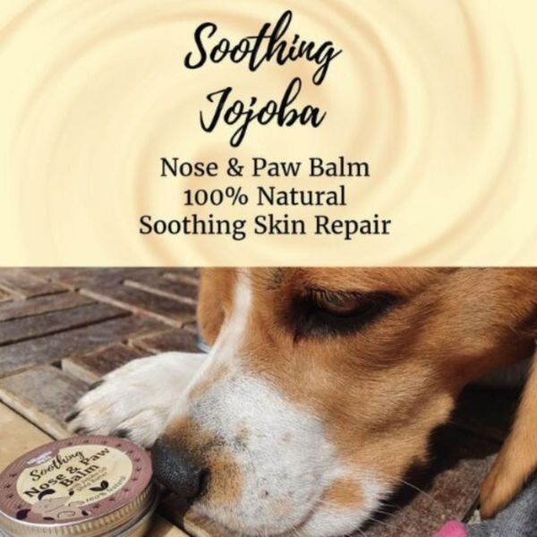 Nilaqua Pets - Organic Soothing Nose & Paw Balm 