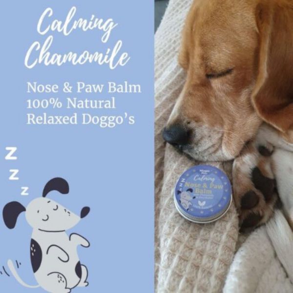 Nilaqua Pets - Organic Calming Nose & Paw Balm