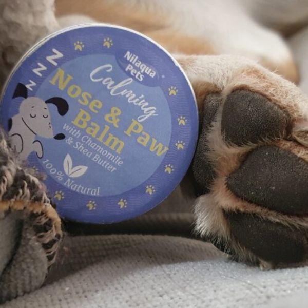 Nilaqua Pets - Organic Calming Nose & Paw Balm