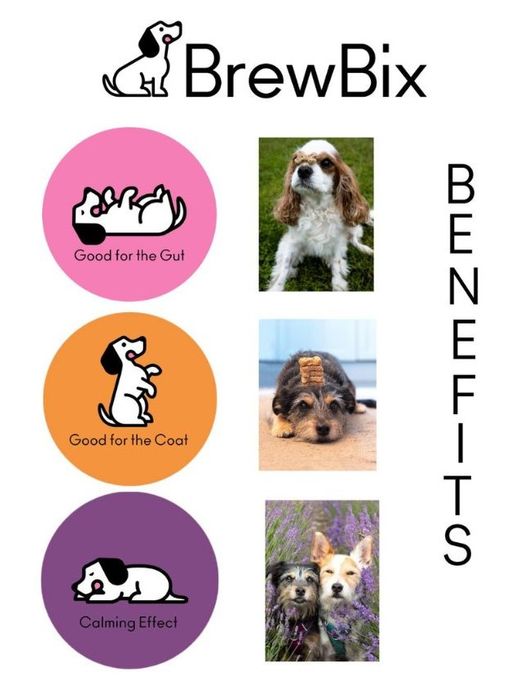 BrewBix Healthy Dog Treat Biscuits - 500g Family Pouch
