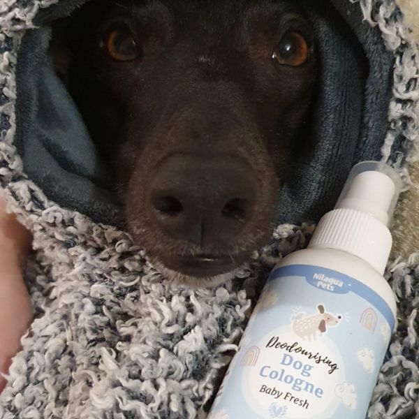 Nilaqua Pets - Baby Fresh Dog Cologne