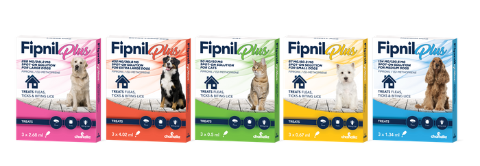 Fipnil Plus