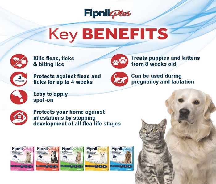 Fipnil Plus
