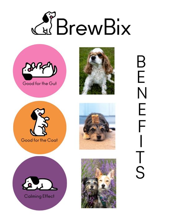 BrewBix Healthy Small  Breed Dog Treat Biscuits Gift Box - 6 x100g