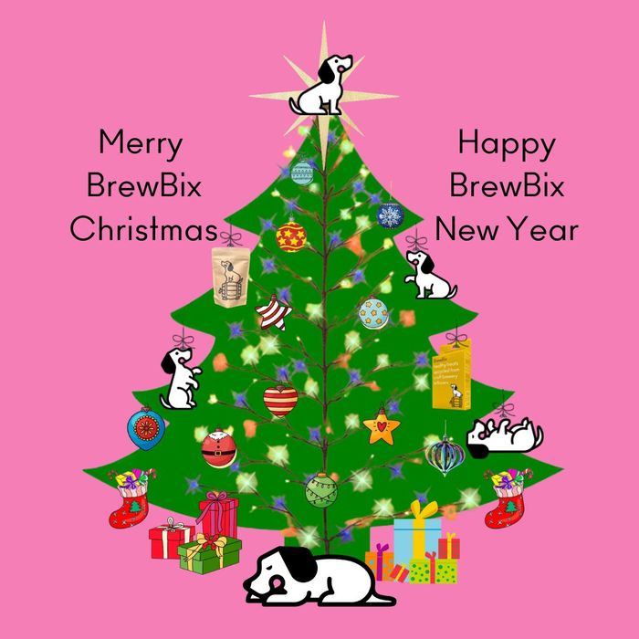 BrewBix Healthy Dog Treat Biscuits Christmas Box - 12 x 100g